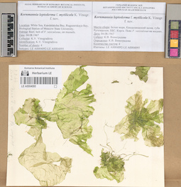 LE A0004095