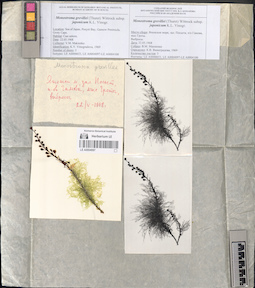 LE A0004097