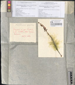 LE A0004098