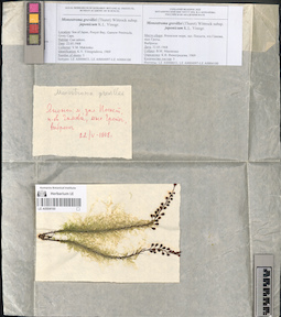 LE A0004100