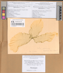 LE A0004101