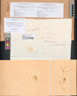 LE A0004102