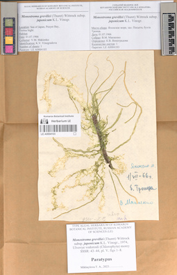 LE A0004103