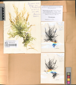 LE A0004104