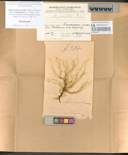 LE A0004106