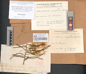 LE A0004107