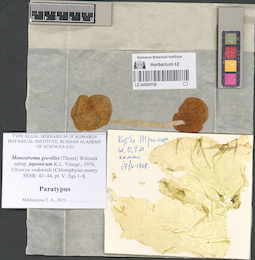 LE A0004108