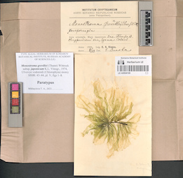 LE A0004109
