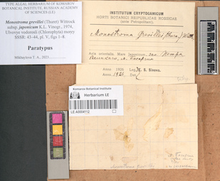 LE A0004112