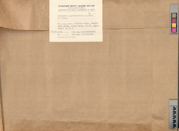LE A0004118