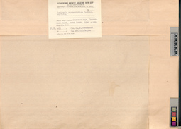 LE A0004119