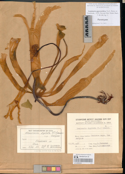 LE A0004122
