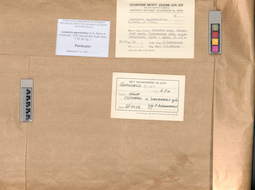 LE A0004124