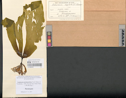 LE A0004128