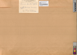 LE A0004130