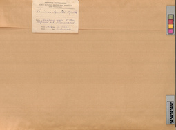 LE A0004131