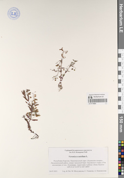 LE 01119924