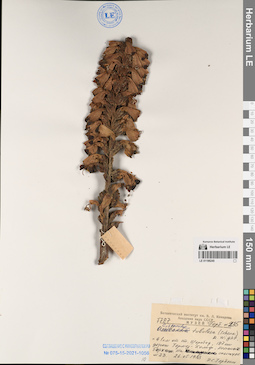 LE 01196245