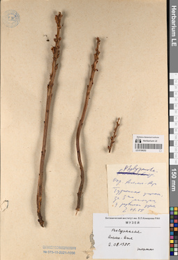 LE 01196252
