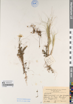 LE 01196255
