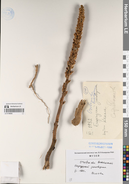 LE 01196262
