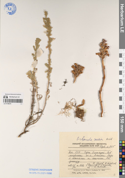 LE 01196270