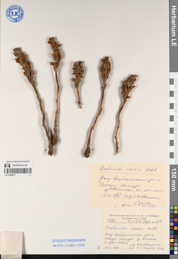 LE 01196271