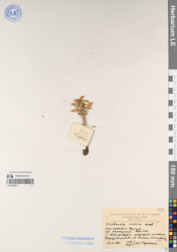 LE 01196273