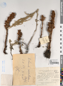 LE 01196276