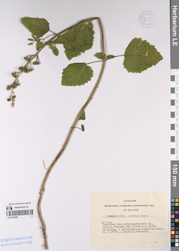 LE 01196389