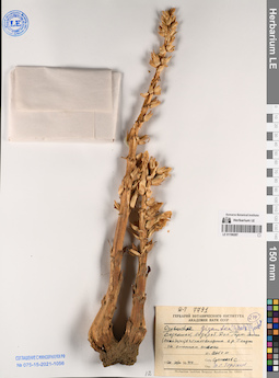 LE 01196287