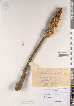 LE 01196296
