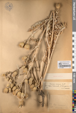 LE 01196894