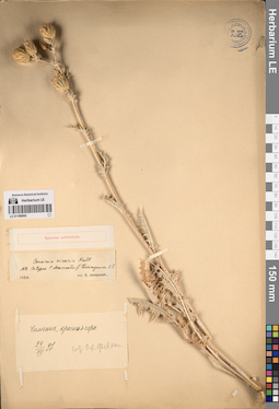 LE 01196895