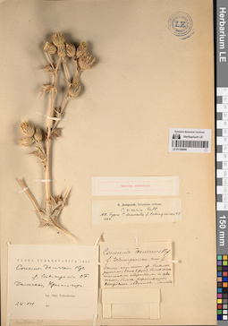 LE 01196896