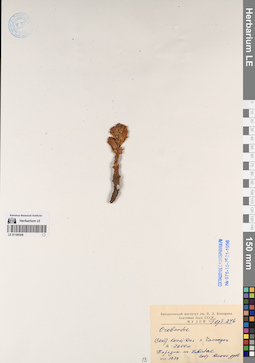 LE 01196308