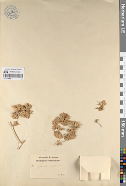 LE 01196899