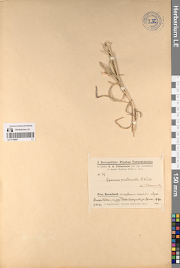 LE 01196901