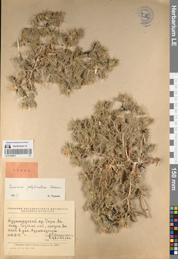 LE 01196912