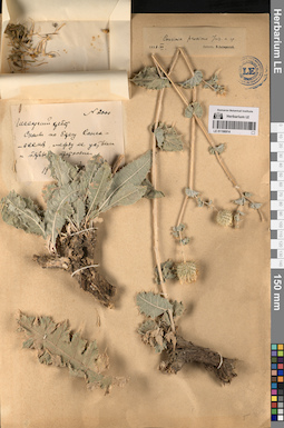 LE 01196914