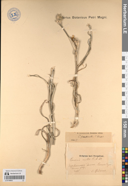LE 01196932