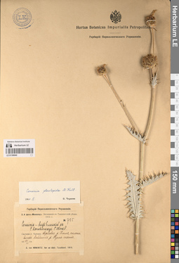 LE 01196940