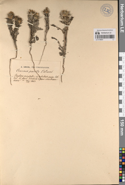 LE 01196947