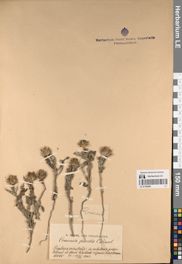LE 01196948