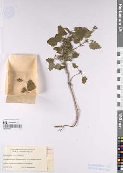 LE 01152392