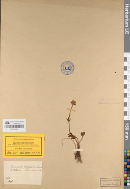 LE 01044979