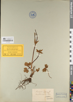 LE 01044980