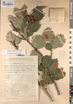 LE 01047554