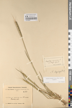 LE 01230818