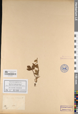 LE 01044989